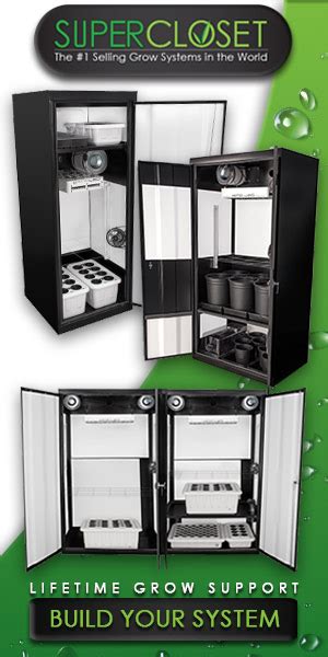 gorilla grow cabinet